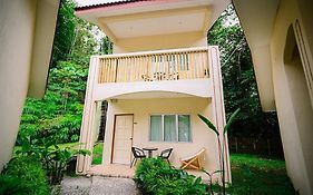 Lilla Rainforest Retreat - Hotel